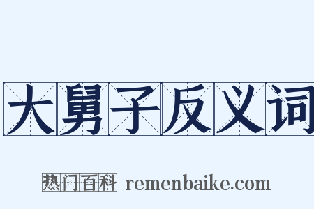 大舅子反义词是什么意思的图片